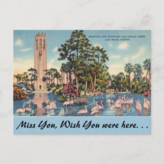 Florida, Lake Wales, Bok Singing Tower Briefkaart (Voorkant)