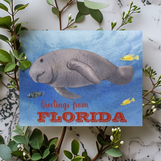 Florida Lamantijn waterkleur onderwater Briefkaart