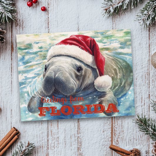 Florida Lamantijn Waterverf Kerstmis Briefkaart