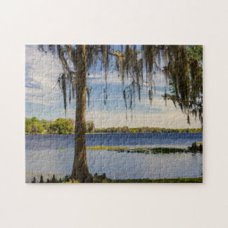 Florida Landschap Jigzaag Puzzle Legpuzzel