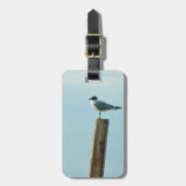 Florida Laughing Gull Easy ID Personal Bagagelabel (Voorkant verticaal)