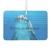 Florida  luchtverfrisser (Achterkant)