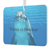 Florida  luchtverfrisser (Links)