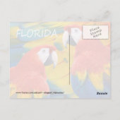Florida Macaws Briefkaart (Achterkant)