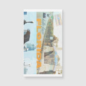 Florida Magnet (Voorkant)