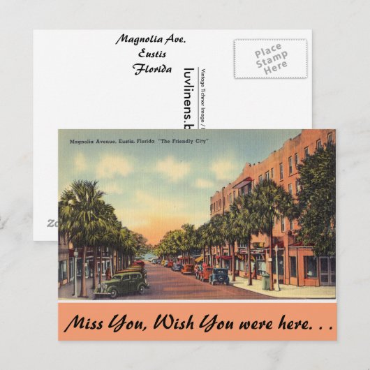 Florida, Magnolia Ave. Eustis Briefkaart (Voorkant / Achterkant)