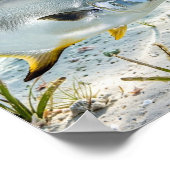 Florida Man Permit Zand Flat Keys Vis Poster (Hoek)