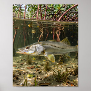 Florida Man Snook Mangrove Oever Vissen Kunst Poster