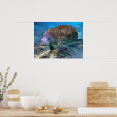 Florida Manatee bij de Crystal River FL Poster (Keuken)