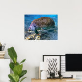 Florida Manatee bij de Crystal River FL Poster (Thuiskantoor)