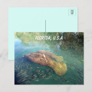 Florida Manatee en Baby Briefkaart