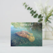 Florida Manatee en Baby Briefkaart (Staand voorkant)