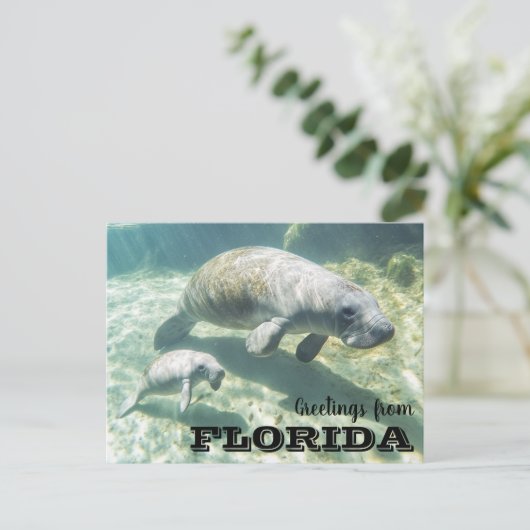 Florida Manatee en Baby Briefkaart (Staand voorkant)