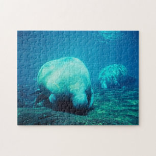 Florida Manatee Jigzaag Puzzle Legpuzzel