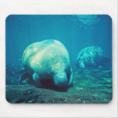 Florida Manatee Muismat (Voorkant)