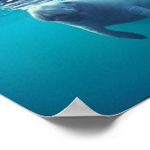 Florida Manatee Poster (Hoek)