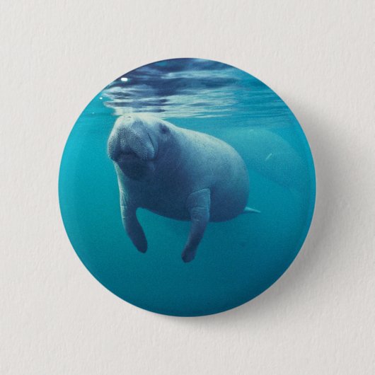 Florida Manatee Ronde Button 5,7 Cm (Voorkant)