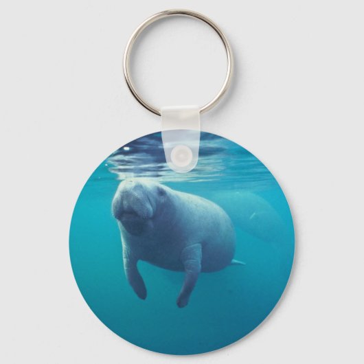 Florida Manatee Sleutelhanger (Voorkant)
