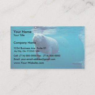 Florida Manatee Visitekaartje