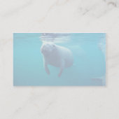 Florida Manatee Visitekaartje (Achterkant)