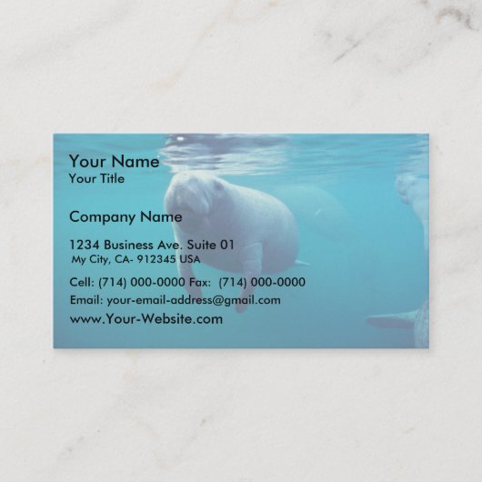 Florida Manatee Visitekaartje (Voorkant)