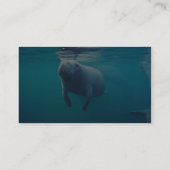 Florida Manatee Visitekaartje (Achterkant)