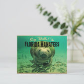 Florida Manatees Briefkaart (Staand voorkant)
