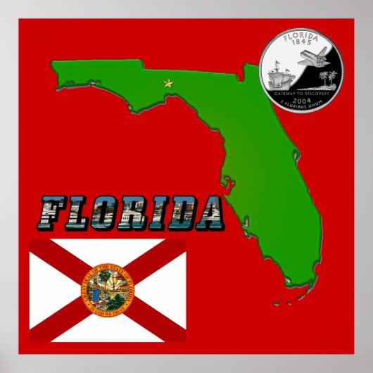 Florida Map, Afbeelding Tekst en State Faux Quarte Poster (Voorkant)