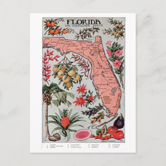 Florida Map Briefkaart (Voorkant)