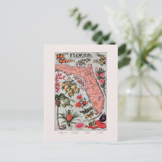  Florida Map Briefkaart (Staand voorkant)