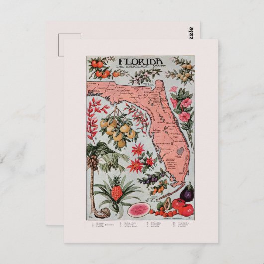  Florida Map Briefkaart (Voorkant / Achterkant)