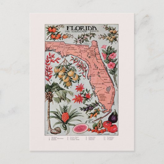  Florida Map Briefkaart (Voorkant)