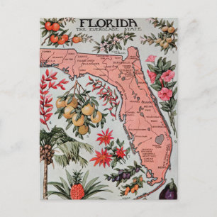 Florida Map Briefkaart