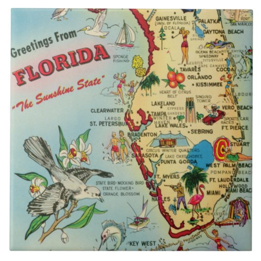 Florida Map Ceramic Tegel Tegeltje (Voorkant)