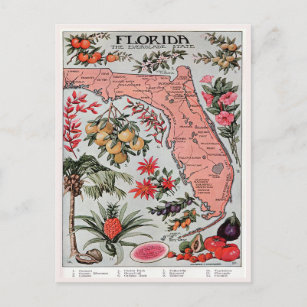  Florida Map, de Everglade State Travel Briefkaart