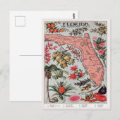  Florida Map, de Everglade State Travel Briefkaart (Voorkant / Achterkant)