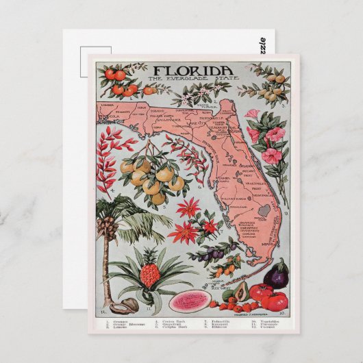  Florida Map, de Everglade State Travel Briefkaart (Voorkant / Achterkant)