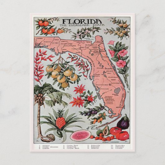  Florida Map, de Everglade State Travel Briefkaart (Voorkant)