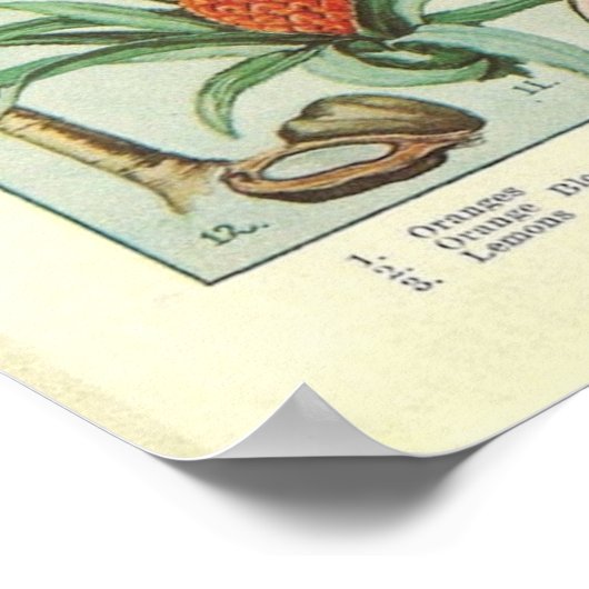  Florida Map - Flora Poster (Hoek)