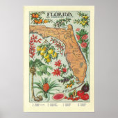  Florida Map - Flora Poster (Voorkant)