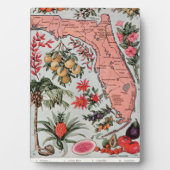 Florida Map Fotoplaat (voorkant)