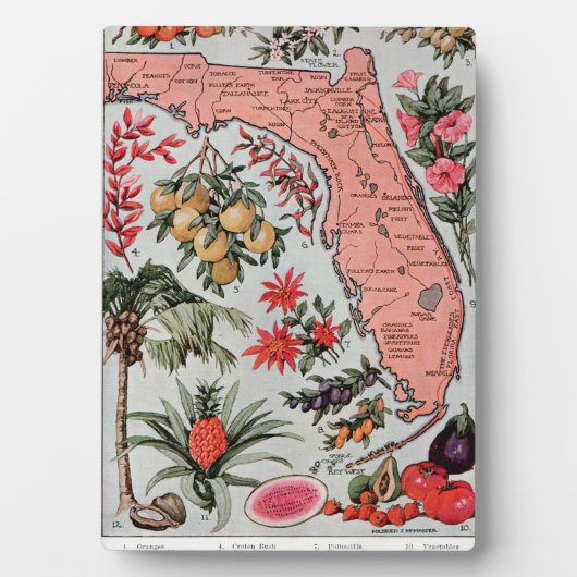 Florida Map Fotoplaat (voorkant)