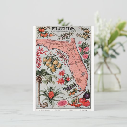  Florida Map Kaart (Staand voorkant)