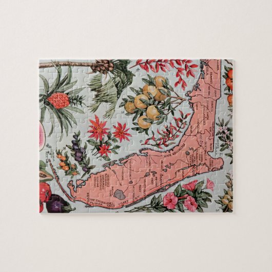  Florida Map Legpuzzel (Horizontaal)