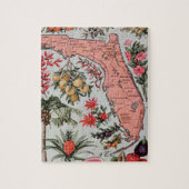  Florida Map Legpuzzel (Verticaal)