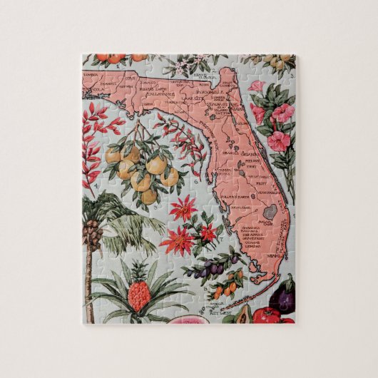 Florida Map Legpuzzel (Verticaal)