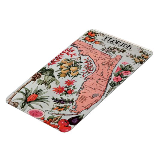 Florida Map Magneet (Linkerzijde)