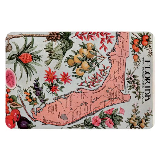 Florida Map Magneet (Horizontaal)