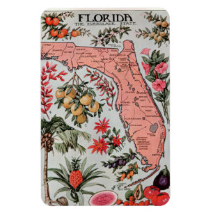  Florida Map Magneet