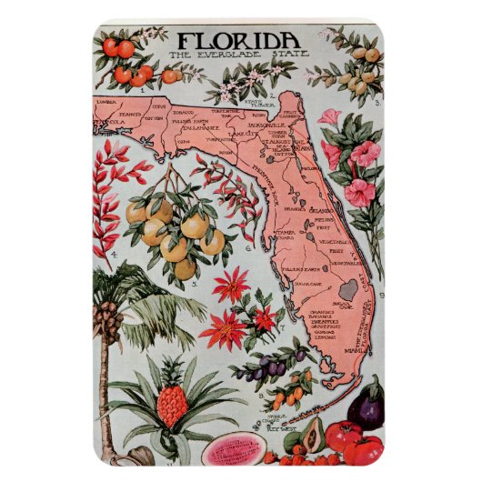  Florida Map Magneet (Verticaal)